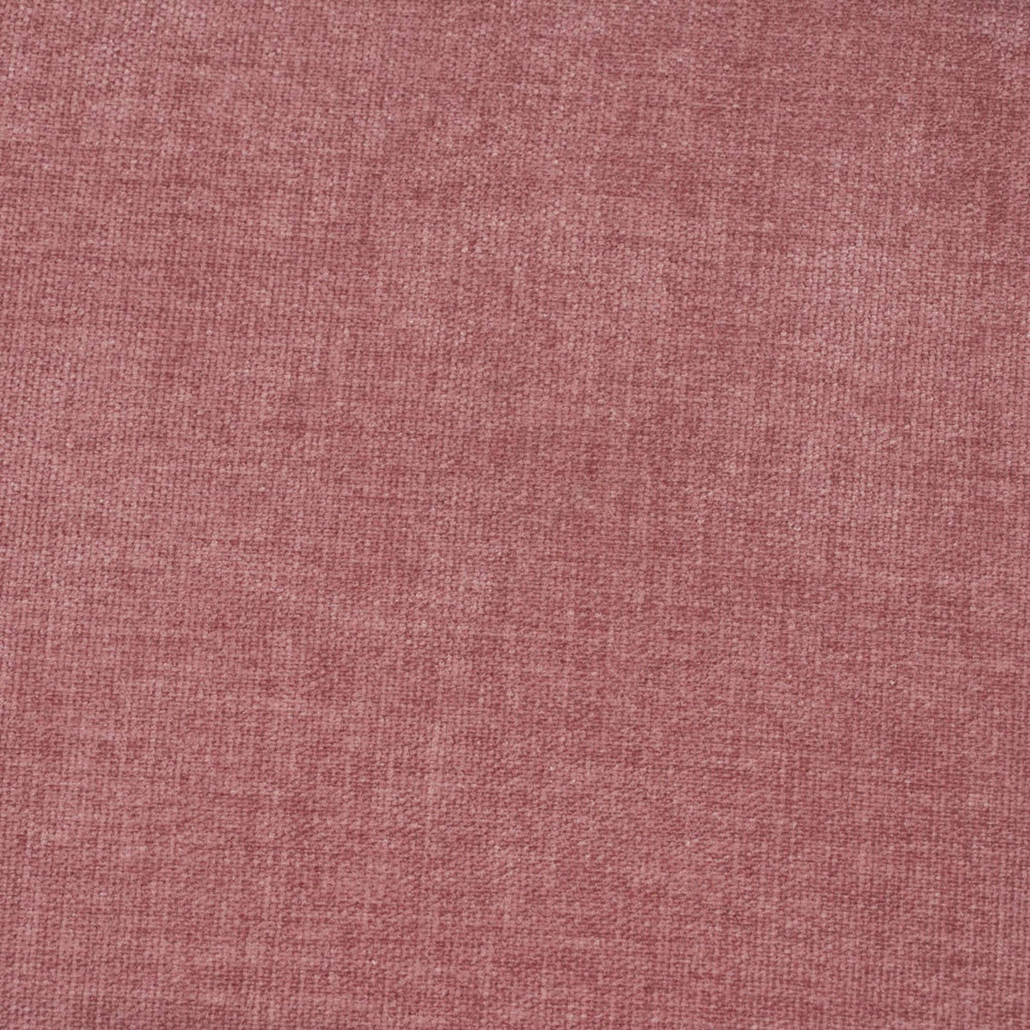 POLARA Lounge Chair - Oak & Salmon