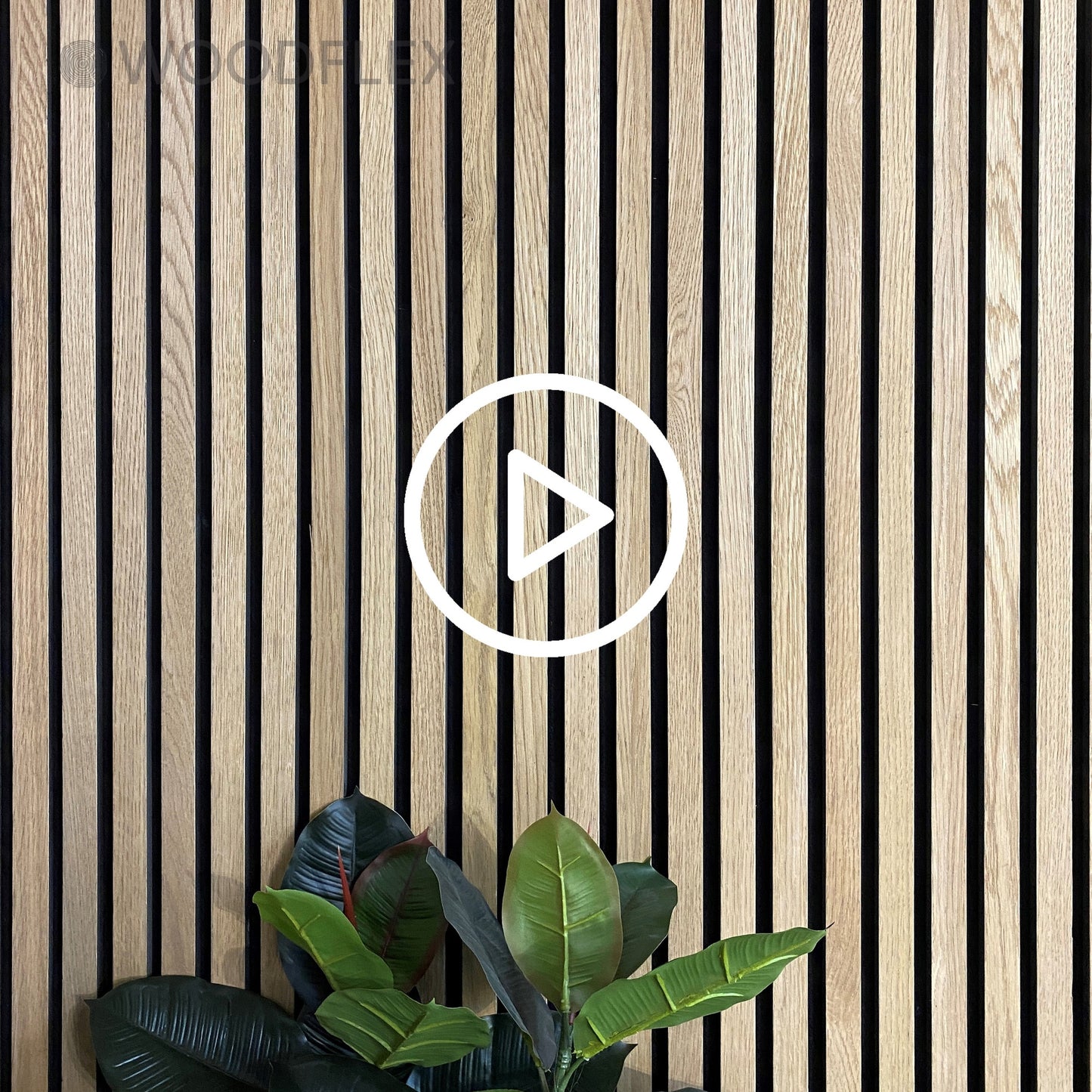 https://cdn.shopify.com/videos/c/o/v/53c5d6efdc37429986aed98bcf0dddda.mp4
