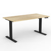 AGILE PRO Electric 2 Column Sit Standing Desk