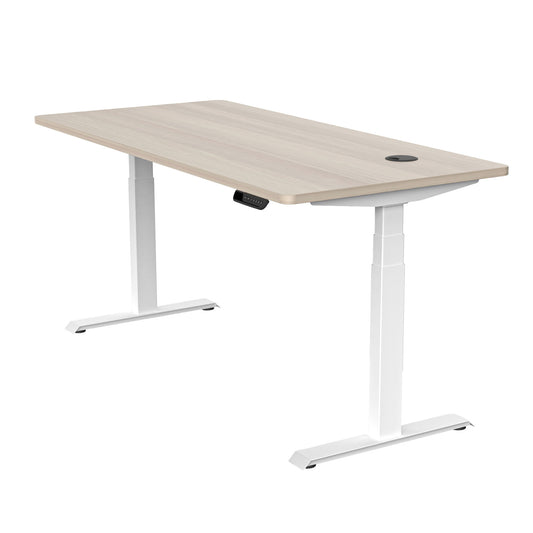 MARLO Single Workstation with Lift 1.6M - Oak & White