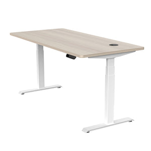 MARLO Single Workstation with Lift 1.6M - Oak & White