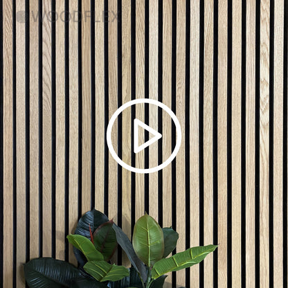 https://cdn.shopify.com/videos/c/o/v/53c5d6efdc37429986aed98bcf0dddda.mp4